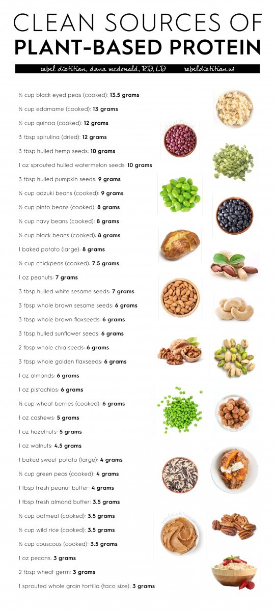 Plant Based Protein Sources Chart 5488